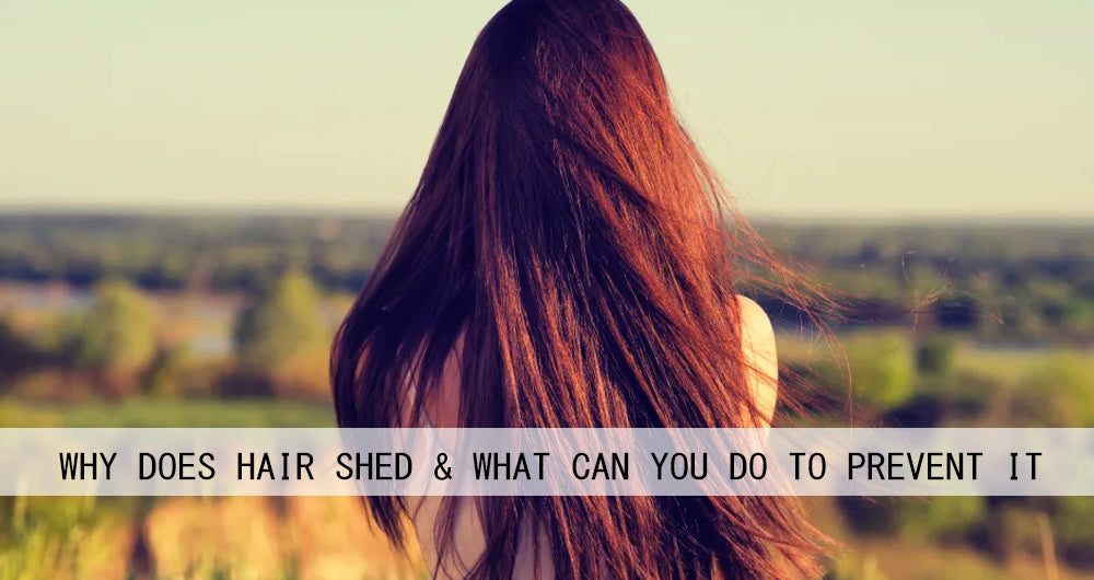 Why Does Hair Shed & What Can You Do to Prevent It? AmazingBeautyHair