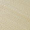 Virgin Invisible Tape in Hair Extensions Platinum Blonde #106