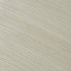 Virgin Invisible Tape in Hair Extensions Ash Blonde #603