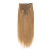 220g Strawberry Blonde 27# Clip In Hair Extensions 22"