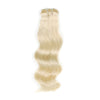 105G Platinum Blonde 60# Clip in Hair Extensions 14"18" & 22"