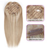 5.5 x 6" Mono Top Hair Topper Highlights Color P331#