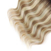 Halo Hair Extensions Rooted Highlights RP3-8/613#
