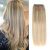 Wire Hair Extensions Balayage B8-18/60#