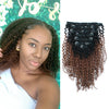Clip in Hair Extension Kinky Curl Ombre Off Black to Light Auburn
