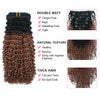Clip in Hair Extension Kinky Curl Ombre Off Black to Light Auburn