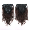 Kinky curly clip in hair extensions ombre N/4# 16"|var-31590235406408