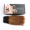 Kinky curly clip in extensions ombre N/27# 14"|var-31634484854856