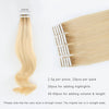 Tape In Hair Extension Rooted R#12/#60