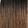 Tape In Hair Extension Ombre T#2/#6
