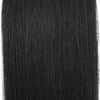 Tape  In Hair Extension #1 Jet Black