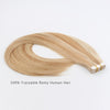 Remy tape in hair extensions highlights #12/60|var-31548622667848